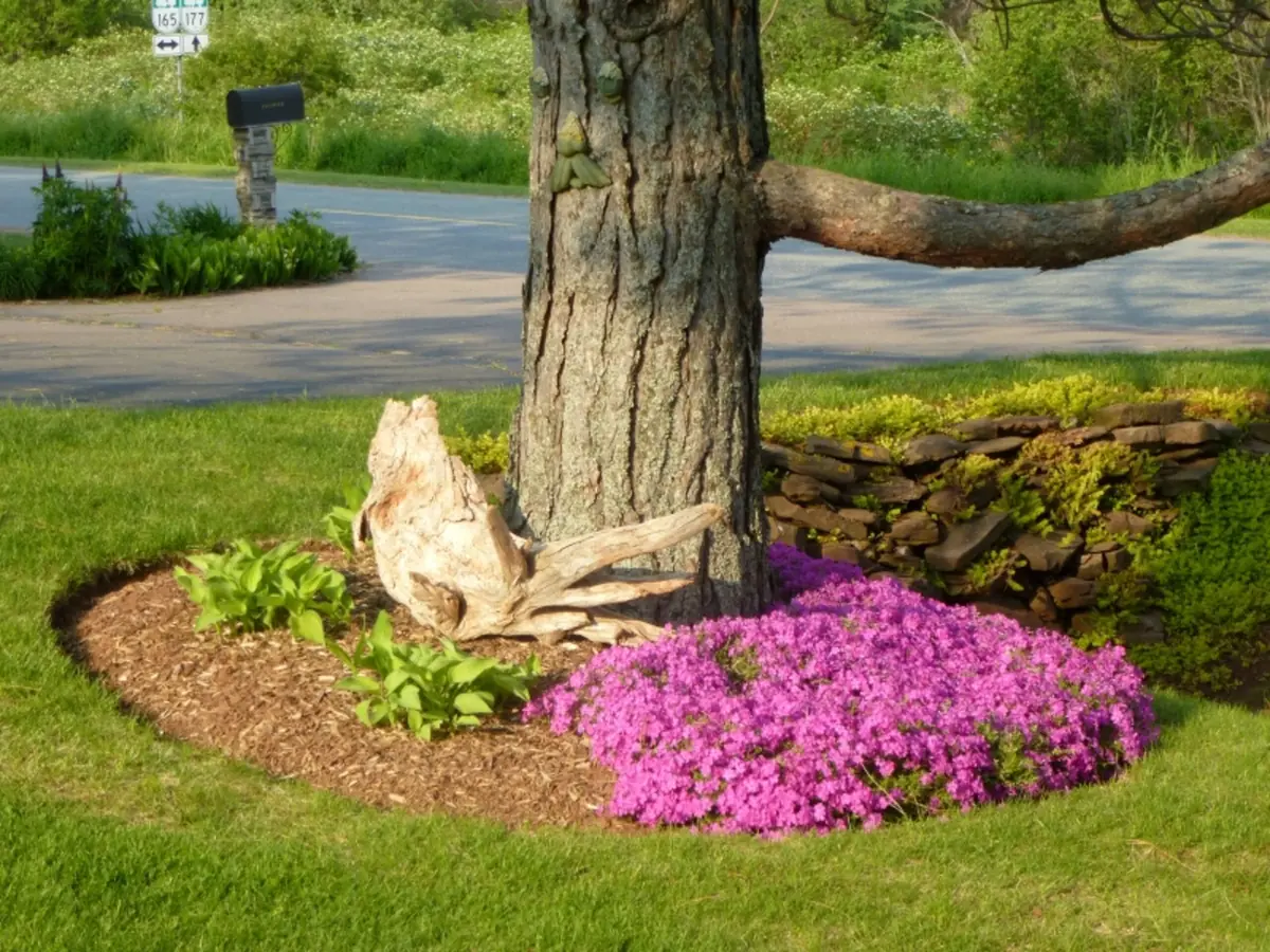 A driftwood piece set in the garden