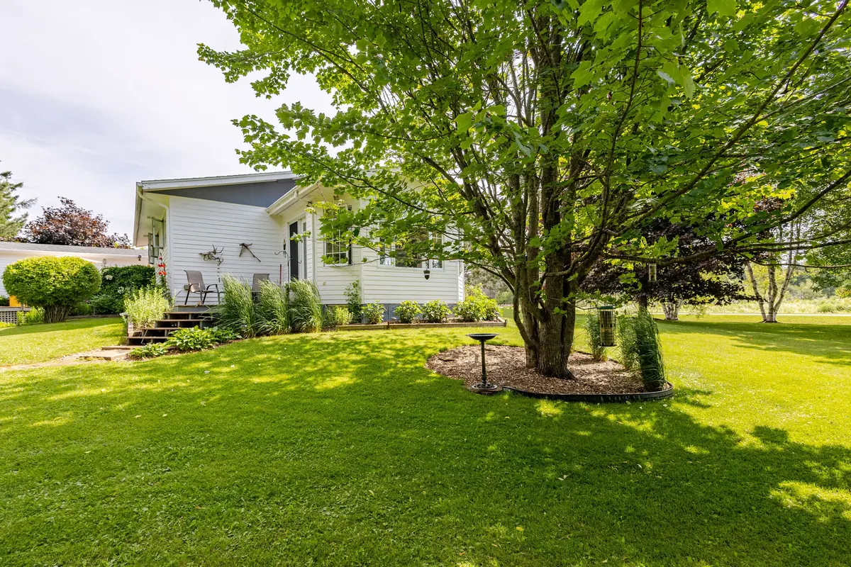 The grounds and the house under the big tree