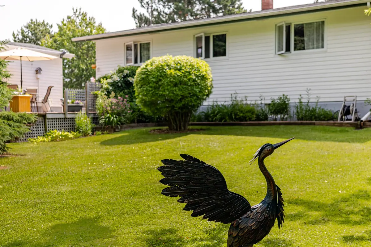 The heron sculpture on the lawn behind the house