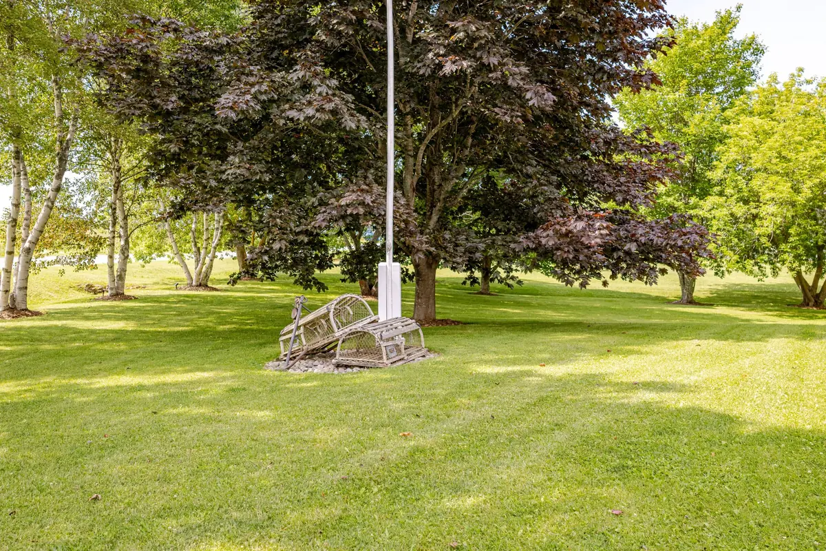 The lawn and trees on the grounds
